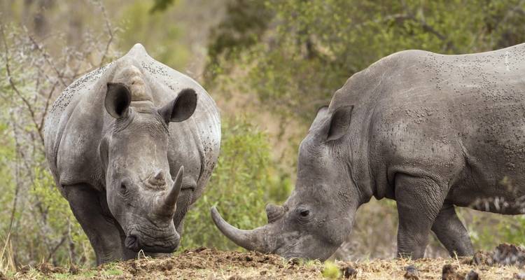 Lo mejor de Namibia en 7 días desde Windhoek - Little Roz Tours 4