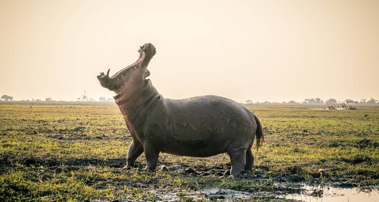 Lo mejor de Namibia en 7 días desde Windhoek - Little Roz Tours 7