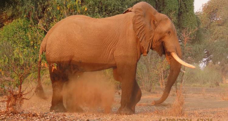 Lo mejor de Namibia en 7 días desde Windhoek - Little Roz Tours 8