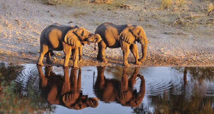 Circuit de 10 jours dans le désert du Kalahari, Sossusvlei, Swakopmund et le parc national d'Etosha - Little Roz Tours 1