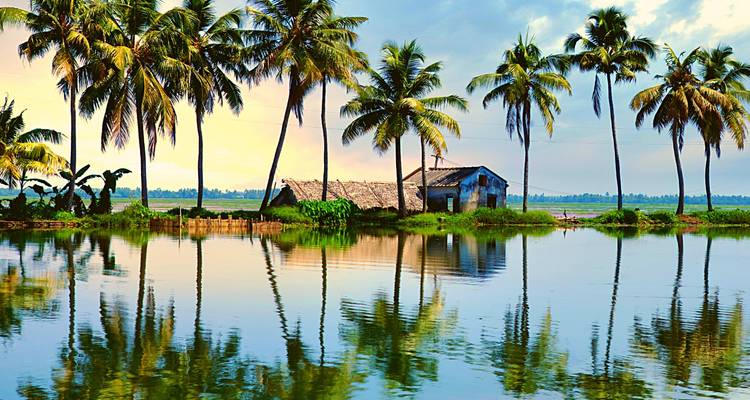 Un circuito privado de lujo a los Remansos de Kerala, la Plantación de té y Especias, el Santuario de la fauna - desde Bombay con vuelos: Kumarakom, Munnar, Thekkady y Periyar - Adreva Trotter Pvt Ltd 4