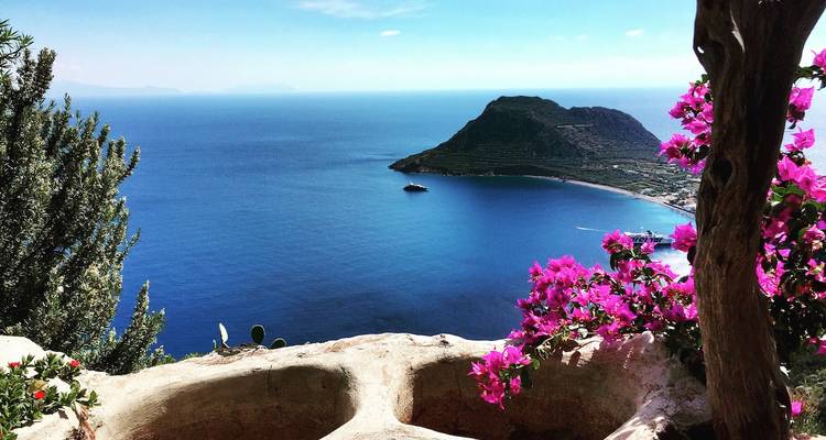 Vue côtière pittoresque avec mer bleue, colline et fleurs.
