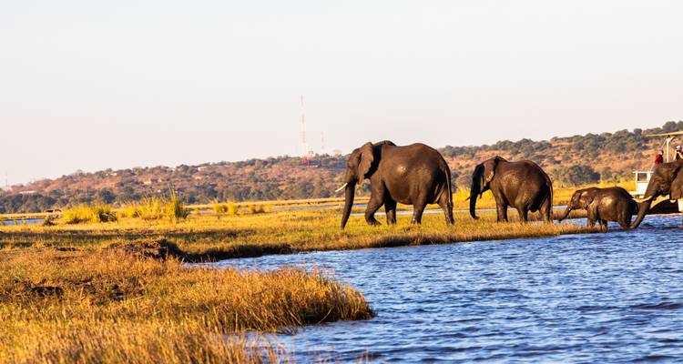 Safari privé au Kenya - Globus 2
