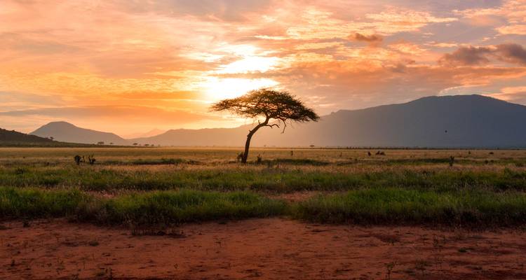 África Oriental Safari Privado Con Nairobi - Globus 4