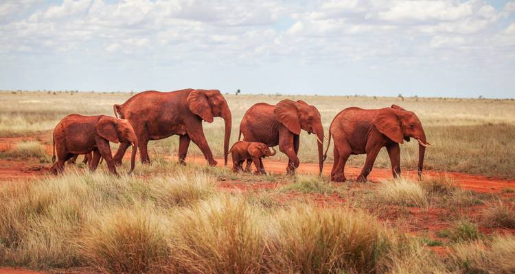 Kenya : Highlights - SKR Reisen 1