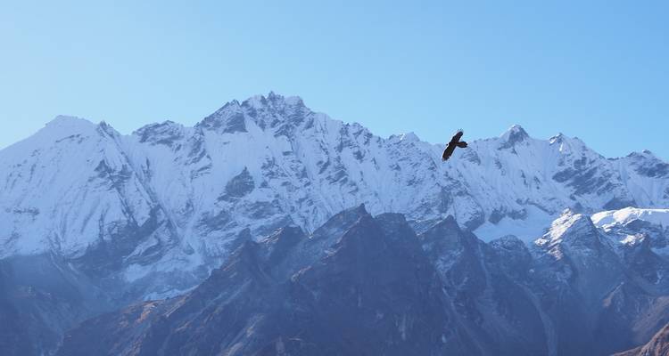 Langtang Valley Trek and Chitwan Jungle Safari - Peregrine Treks and Expedition Pvt Ltd 1