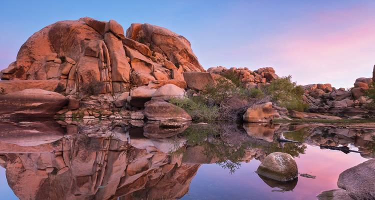 Le crépuscule rose se reflète sur les énormes rochers du désert et les arbustes dans les eaux calmes de Joshua Tree