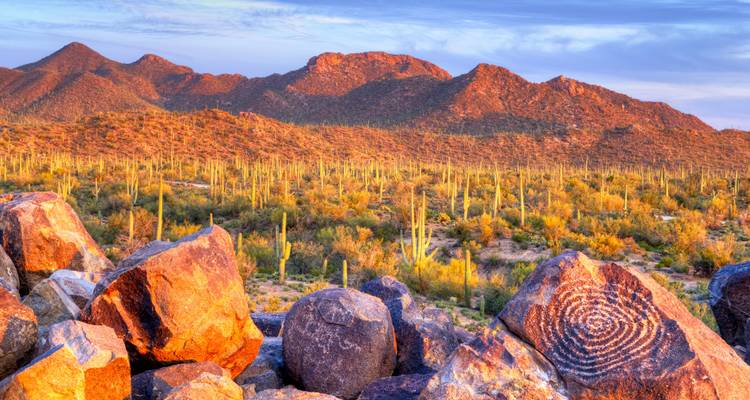 Paysage désertique ensoleillé avec de gros rochers colorés au premier plan, d'innombrables cactus saguaro parsemant une vallée dorée, et des montagnes escarpées à l'horizon sous un ciel bleu.