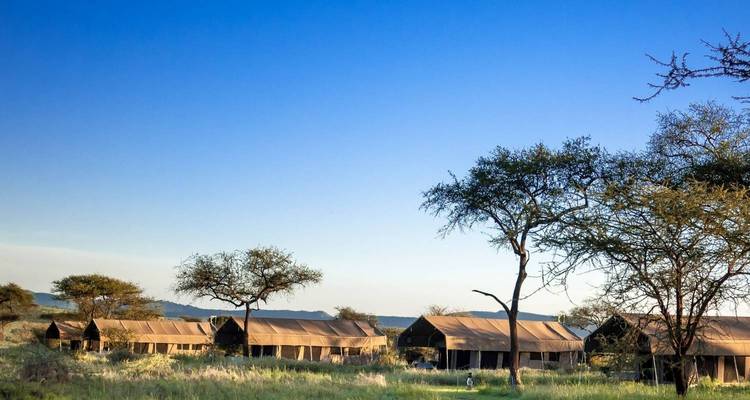 A row of safari tents under a clear blue sky.
