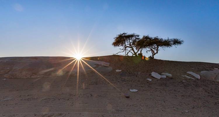 4 días 3 noches Siwa oasis desde el Cairo - Desert Safari Egypt - Ancient Egypt Tours 7