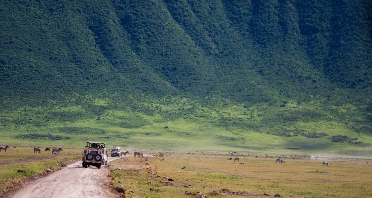 Safari voertuigen op een onverharde weg in een nationaal park met grazende dieren.