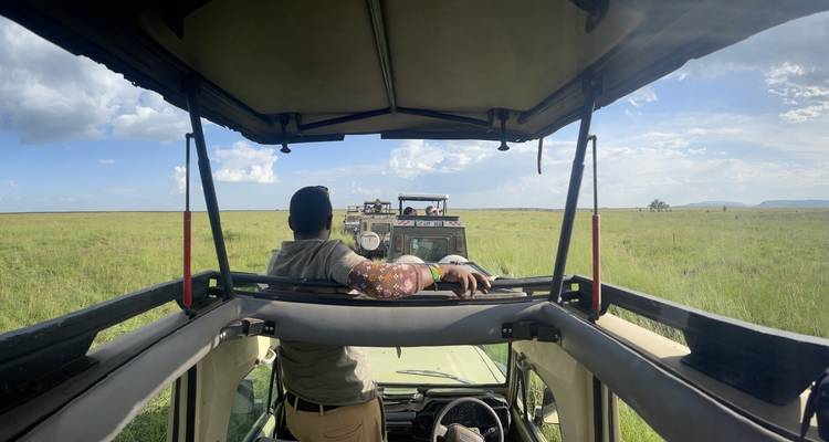 Serengeti National Park 2 Days Tanzania (all accommodation and transport are included) - Spider Tours and Safaris 2