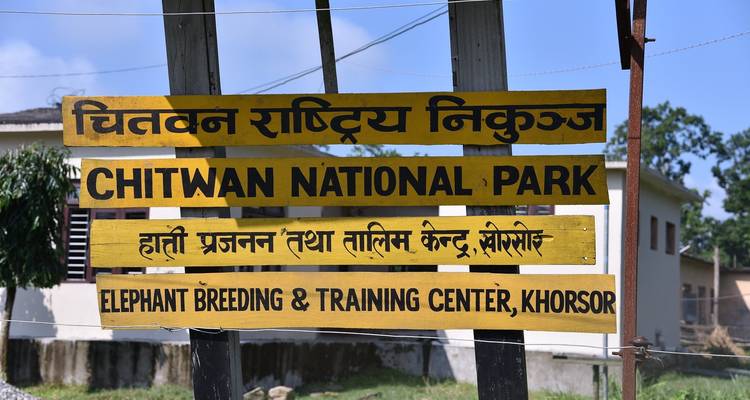 Kathmandu Chitwan Tour - Peregrine Treks and Expedition Pvt Ltd 3