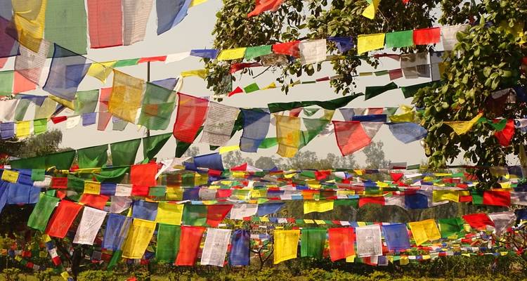 Kathmandu Lumbini Tour - Peregrine Treks and Expedition Pvt Ltd 4
