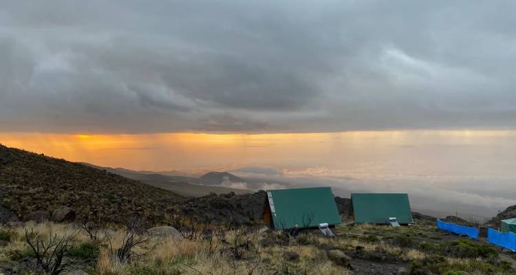 Ascension du Kilimandjaro par la route de Machame 7 jours - Gecko Adventure 1