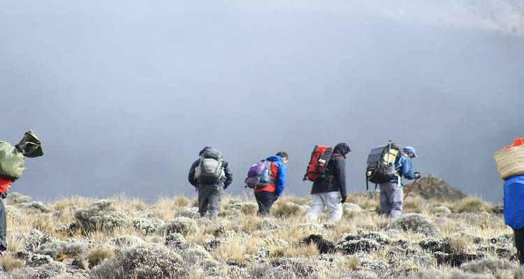Escalada al Kilimanjaro por la ruta Marangu 6 días - Gecko Adventure 1