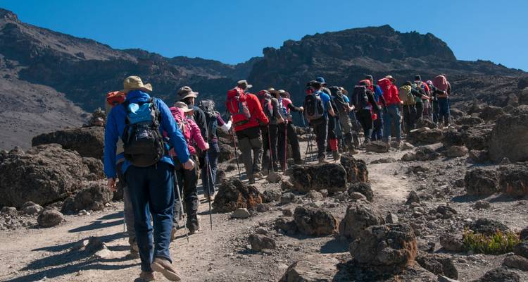 Escalada al Kilimanjaro por la ruta Marangu 6 días - Gecko Adventure 7