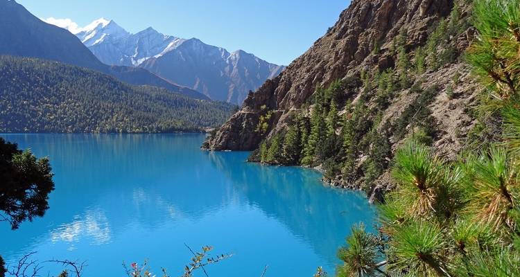 Turquoise meer omringd door bergen en dennenbos.