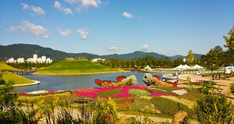 Sueños de Japón y Corea del sur - MW Tours 9