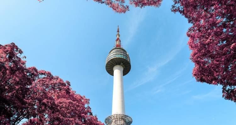 【South Korea】10 Days Scenic South Korea with Hanbok Royal Cuisine Experience Tour Packages - Delightful Travel 9
