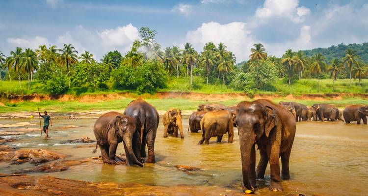 Sri Lanka - Scenic Sri Lanka - 07 Nights / 08 Days Tour - Explore Vacations PVT Ltd 2