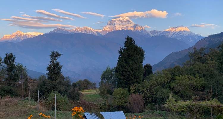 Mountain range with trees and a clear sky.