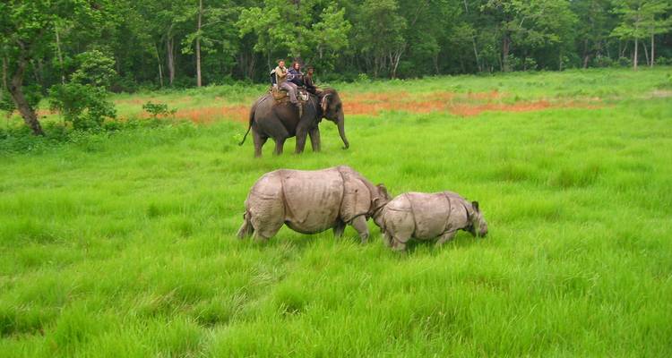 Chitwan Jungle Safari 3 nights 4 days - Peregrine Treks and Expedition Pvt Ltd 10