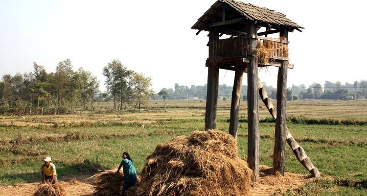 Bardiya Jungle Safari 4 jours - Peregrine Treks and Expedition Pvt Ltd 3