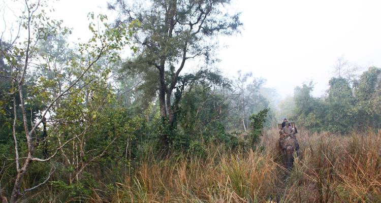 Bardiya Jungle Safari 4 jours - Peregrine Treks and Expedition Pvt Ltd 6