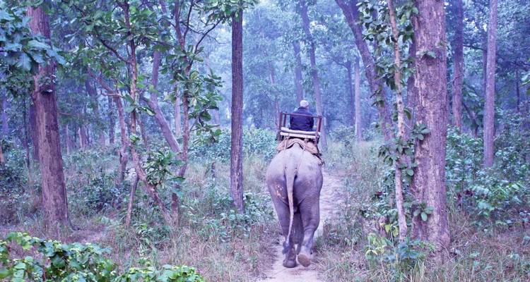 Bardiya Jungle Safari 4 jours - Peregrine Treks and Expedition Pvt Ltd 7