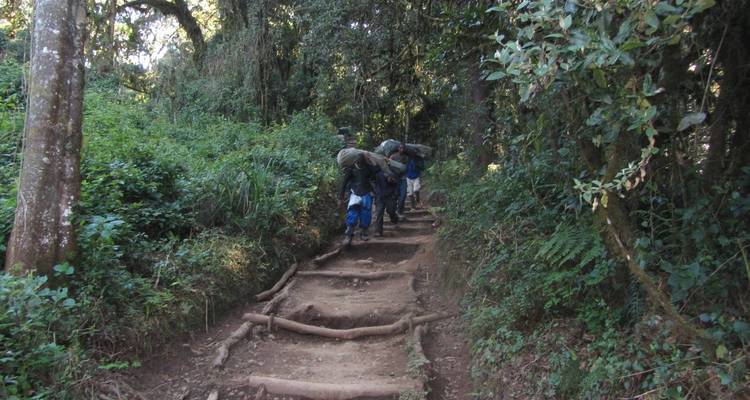 Climb Mount Kilimanjaro Via Umbwe Route 6 Days Tanzania (all accommodation and transport are included) - Spider Tours and Safaris 8