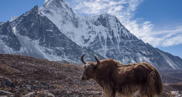 Island Peak Climbing - Peregrine Treks and Expedition Pvt Ltd 10