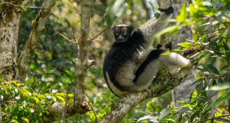 The best of Madagascar Adventure 12Days/11Nights ( Comfort) - Across Africa Tours & Travel 2