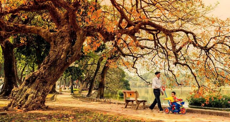 Encantos de Vietnam 8 días - sur y norte de Vietnam - PrestiGo Asia 8