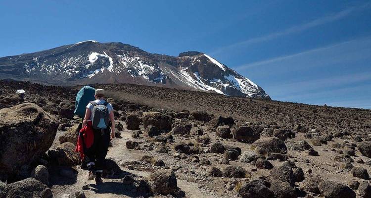 9 jours route du cercle nord | Kilimandjaro Climbing - Migration Venture Africa  3