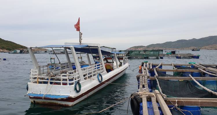 Hanoi - Baie d'Halong - Baie de Lan Ha 2 jours 1 nuit en croisière - LVP Travel 8