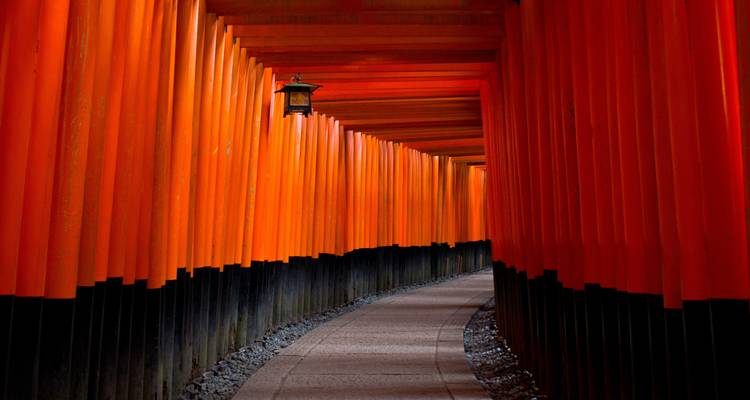 【Japon】Golden Forfait découverte du Japon en 9 jours - Delightful Travel 6