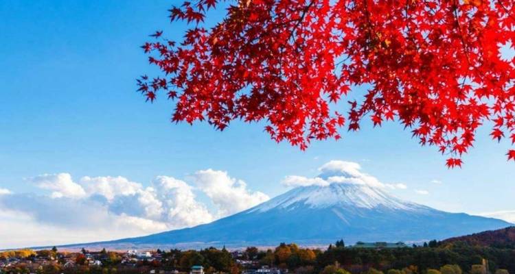 【Japon】Golden Forfait découverte du Japon en 9 jours - Delightful Travel 7