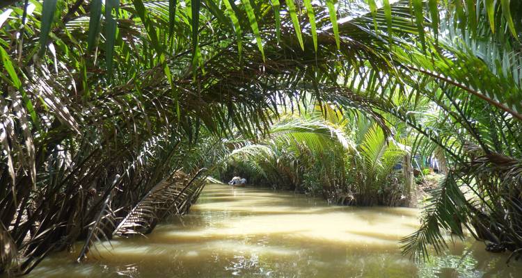 Exuberantes palmeras verdes arqueándose sobre un canal sereno.