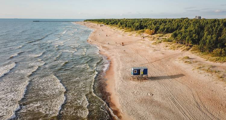 Plage de sable le long du littoral avec une végétation clairsemée.