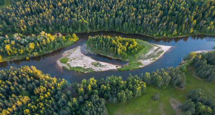 Vue aérienne d'une rivière qui traverse une forêt.