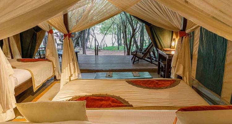 Safari de 4 jours au Masai Mara Bush Camp 5* - en anglais - Africa Venture Safaris 2