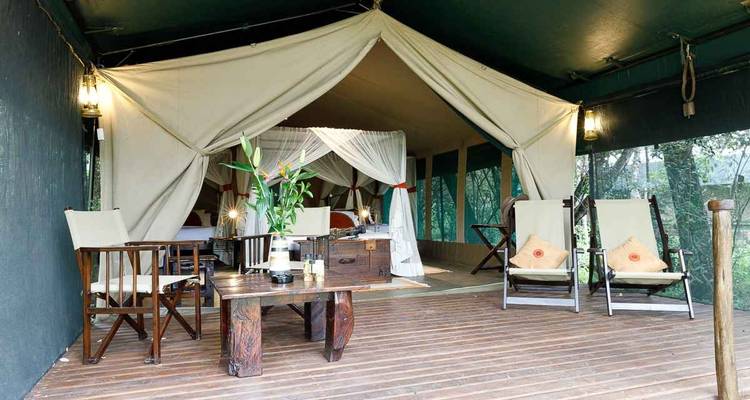 Safari de 4 jours au Masai Mara Bush Camp 5* - en anglais - Africa Venture Safaris 4