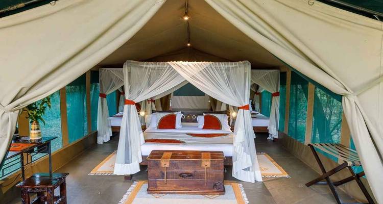 Safari de 4 jours au Masai Mara Bush Camp 5* - en anglais - Africa Venture Safaris 7