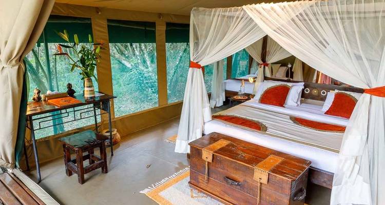 Safari de 4 jours au Masai Mara Bush Camp 5* - en anglais - Africa Venture Safaris 10