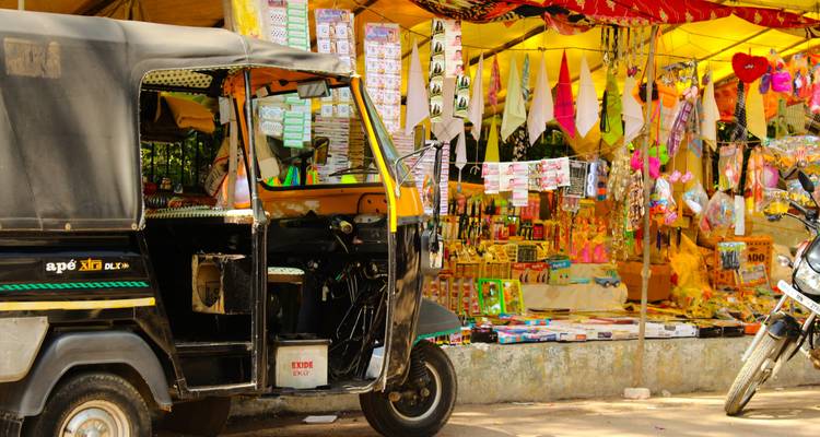 Wild Encounters of North India - Wildlife tour of India - MTA Destination Management Company 7