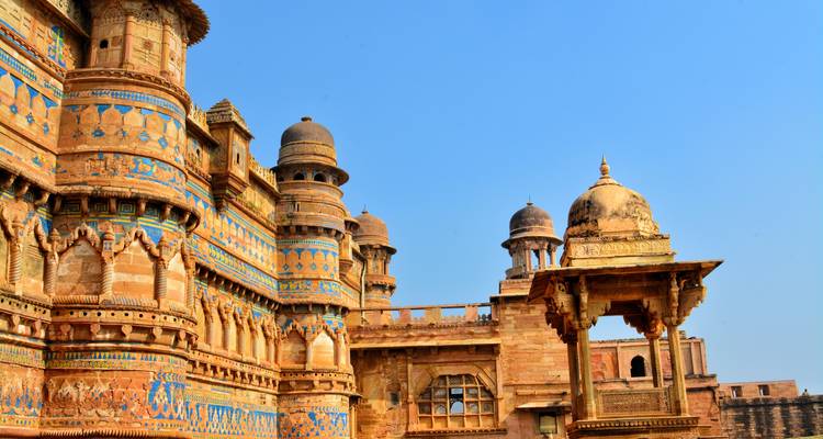 Wild Encounters of North India - Wildlife tour of India - MTA Destination Management Company 8