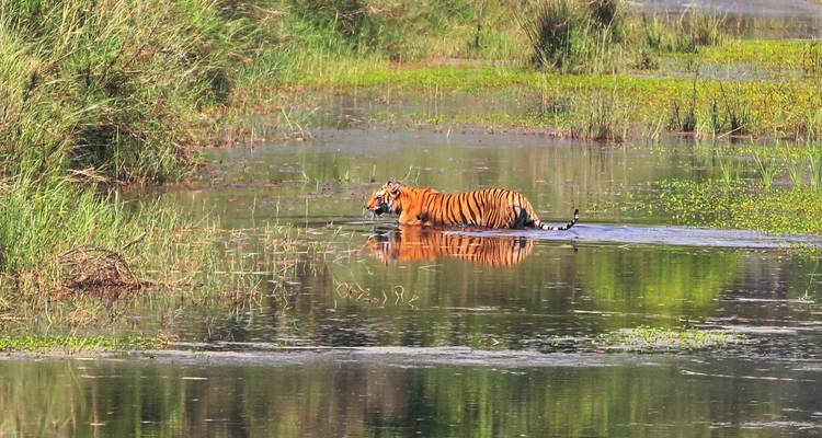 Bardiya National Park Tour - Nepal Social Treks 7