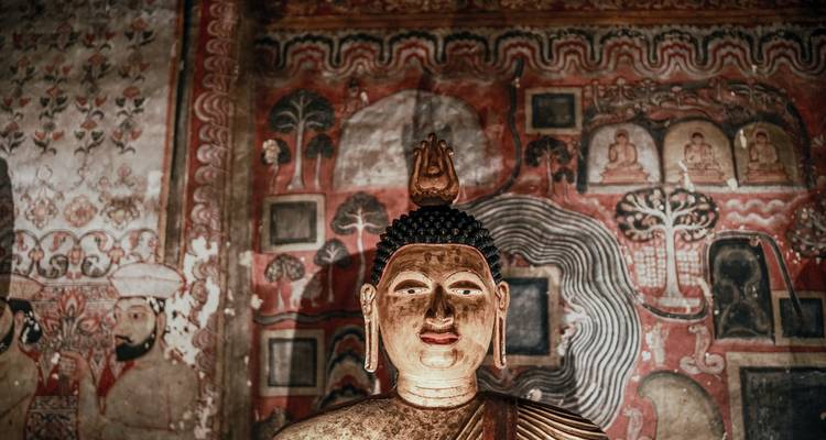 Viaje al noreste y centro de Sri Lanka - Holiday Lanka Tours 3