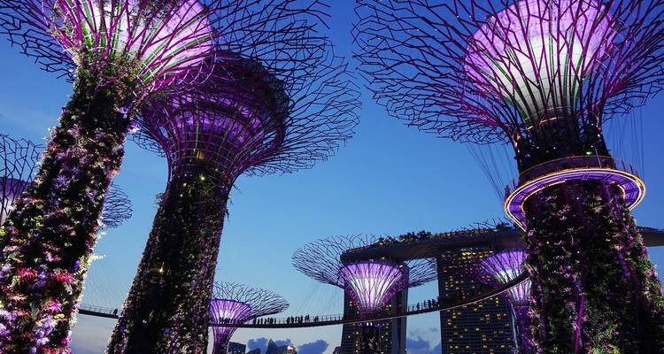 Independent Singapore City Stay - Globus 3